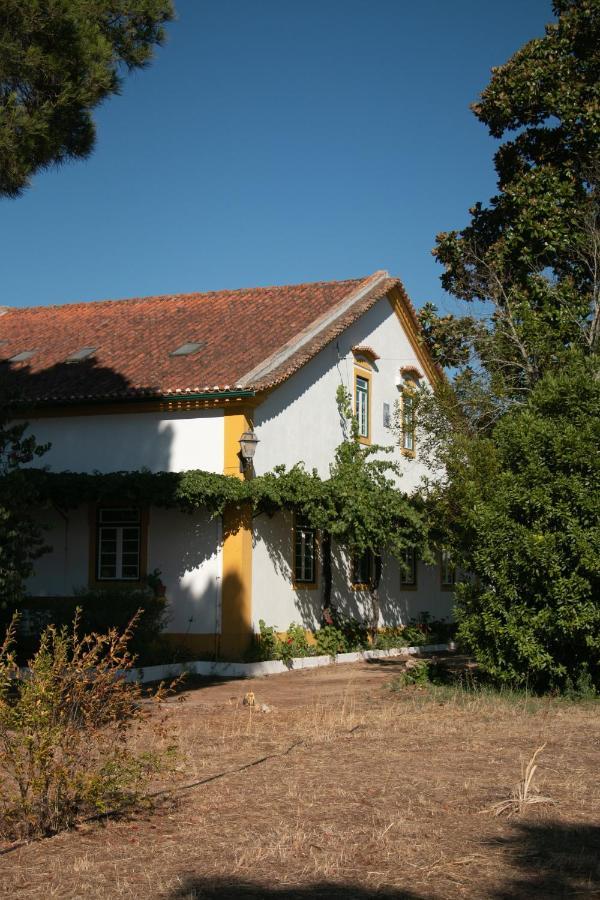 Quinta de SantAna da Várzea Abrantes Exterior foto