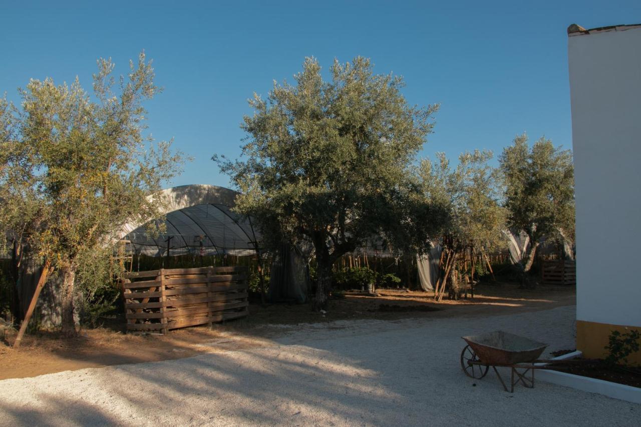 Quinta de SantAna da Várzea Abrantes Exterior foto