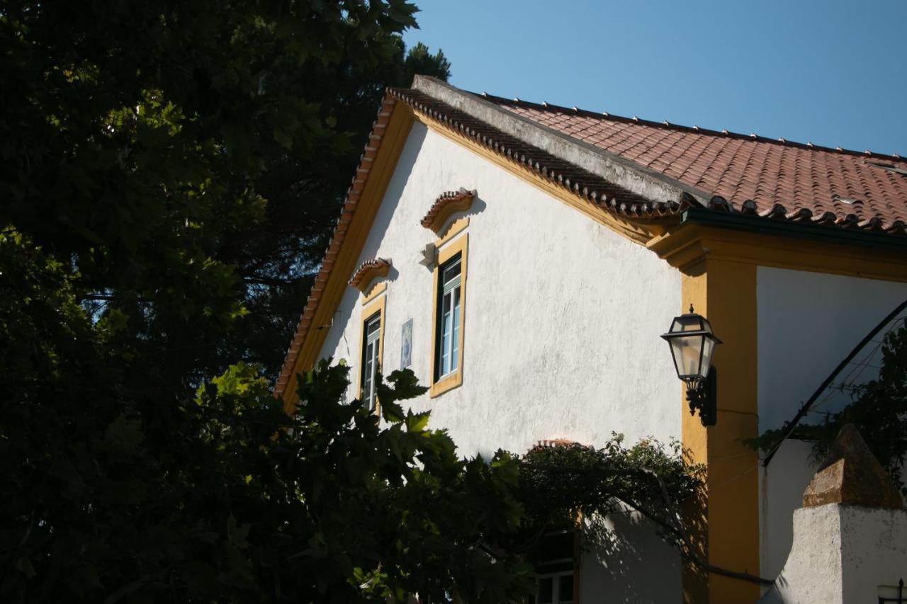 Quinta de SantAna da Várzea Abrantes Exterior foto