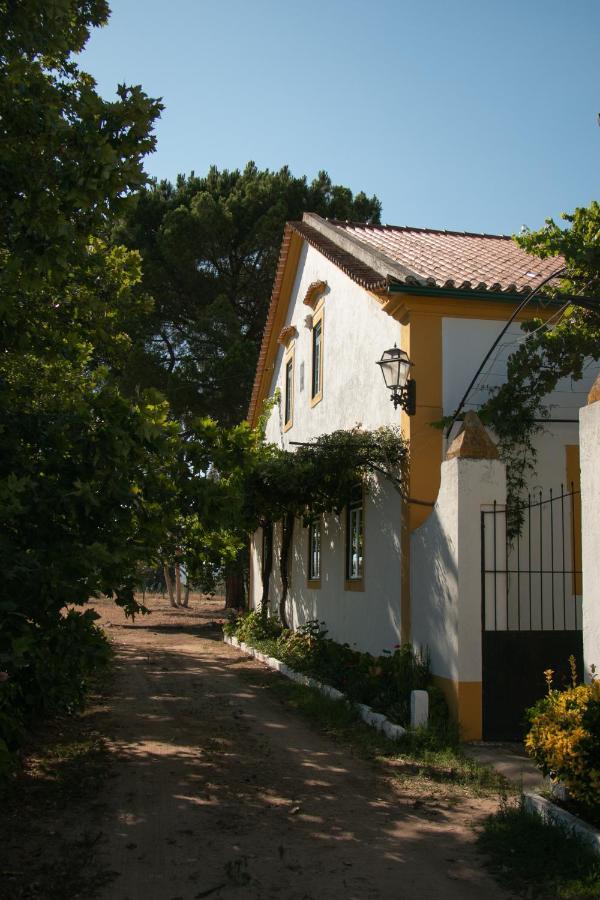 Quinta de SantAna da Várzea Abrantes Exterior foto