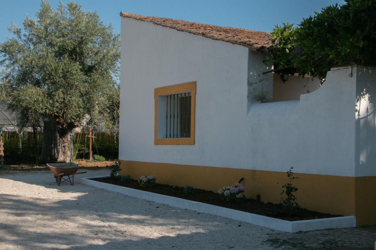 Quinta de SantAna da Várzea Abrantes Exterior foto