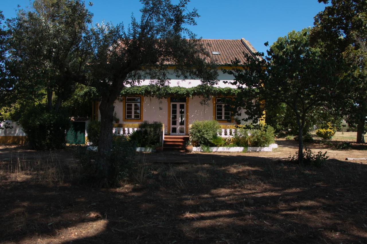 Quinta de SantAna da Várzea Abrantes Exterior foto