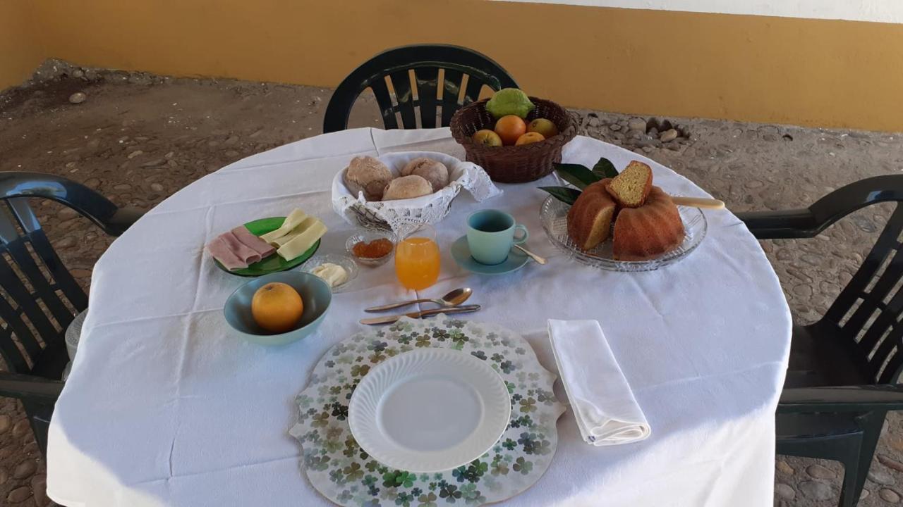 Quinta de SantAna da Várzea Abrantes Exterior foto