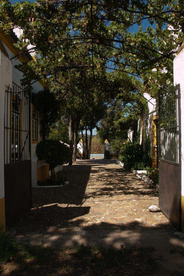 Quinta de SantAna da Várzea Abrantes Exterior foto