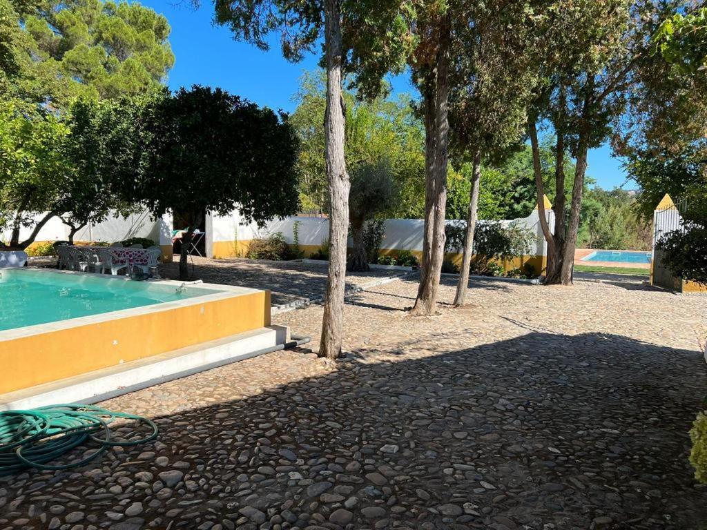Quinta de SantAna da Várzea Abrantes Exterior foto