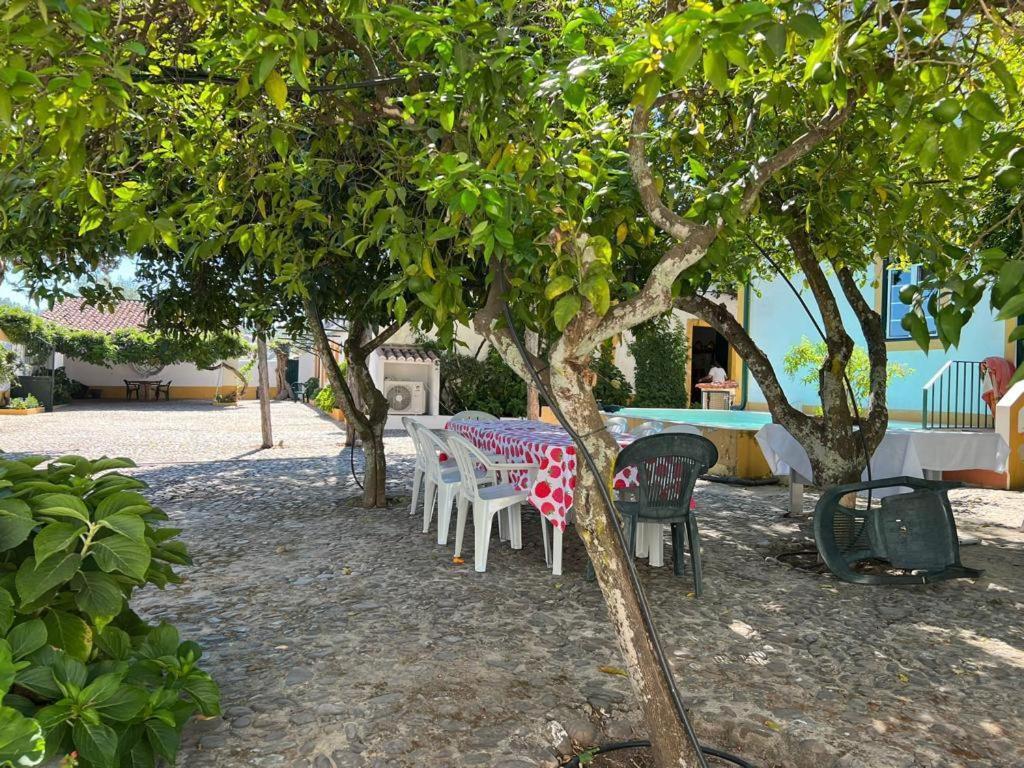 Quinta de SantAna da Várzea Abrantes Exterior foto