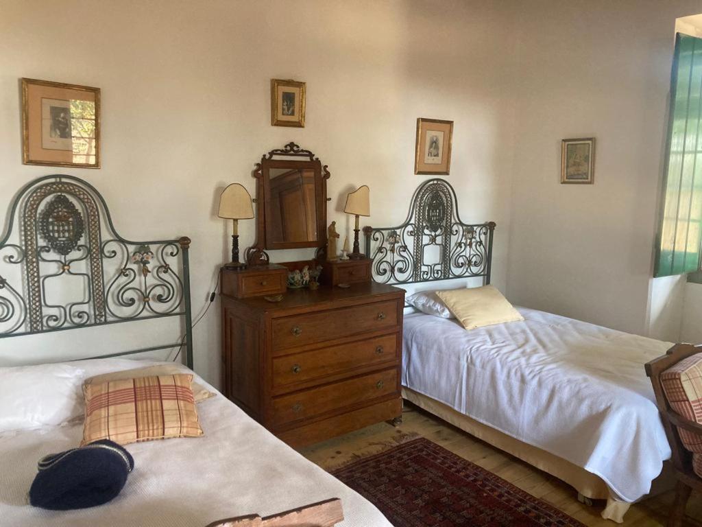 Quinta de SantAna da Várzea Abrantes Habitación foto
