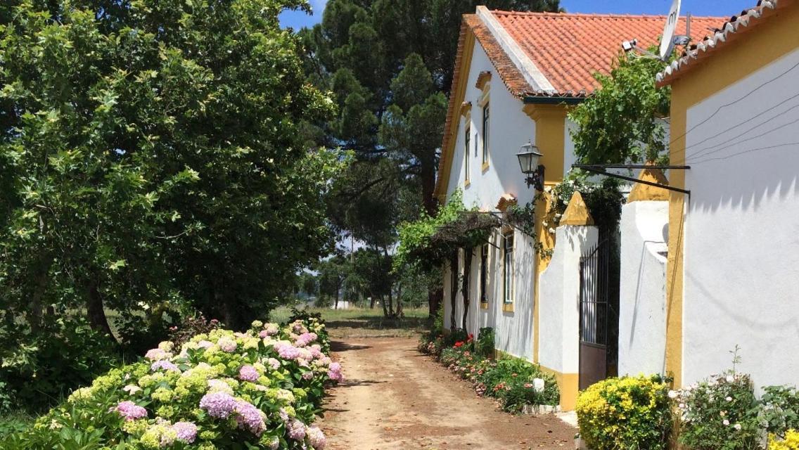 Quinta de SantAna da Várzea Abrantes Exterior foto